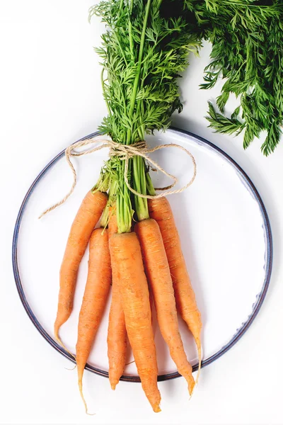 Bundle of carrots — Stock Photo, Image