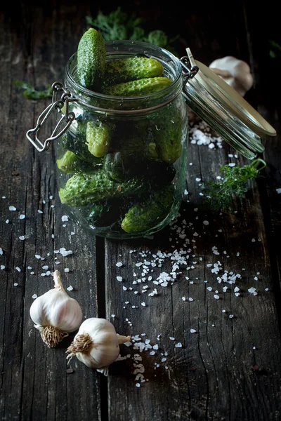 Preparation of low-salt pickled cucumbers — Zdjęcie stockowe