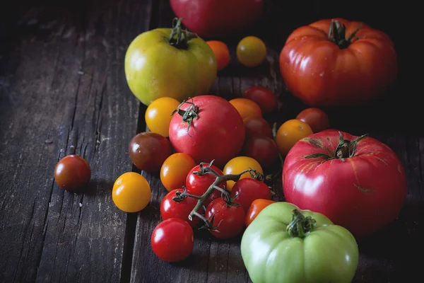 Sortimento de tomates — Fotografia de Stock