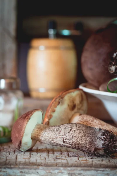 Forest mushrooms — Stock Photo, Image