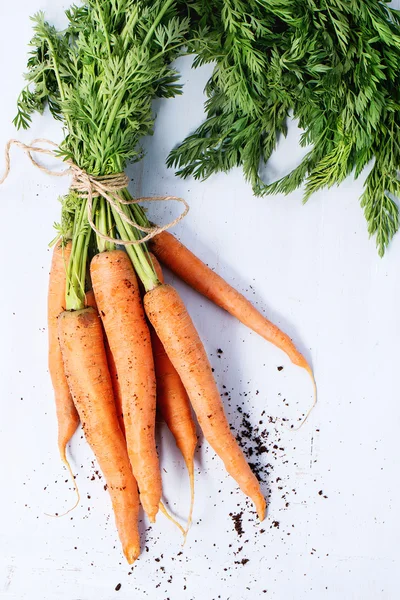 Bundle of carrots — Stock Photo, Image