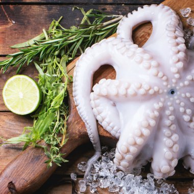 Ahtapot buz üstünde