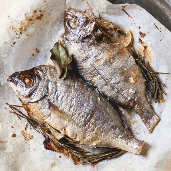 Tow grilled fish — Stock Photo, Image