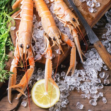 kerevitleri buz üstünde