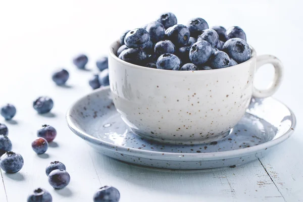 Cup of blueberries — Stock Photo, Image