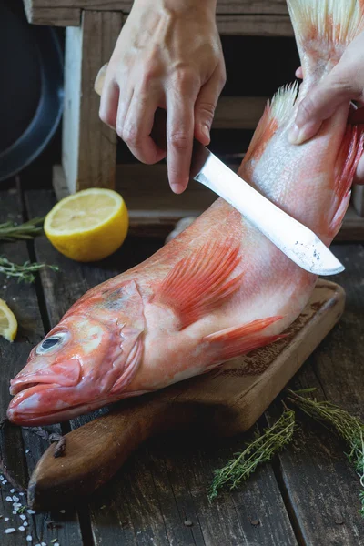 Raw grouper — Stock Photo, Image