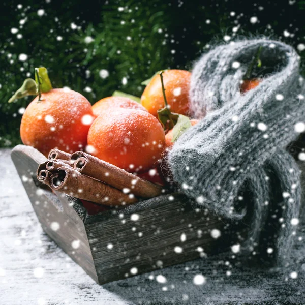 Рождественские мандарины — стоковое фото