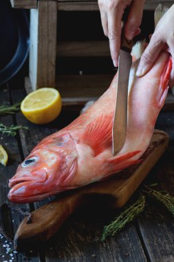 Raw grouper