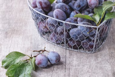 Erik yaprakları ile