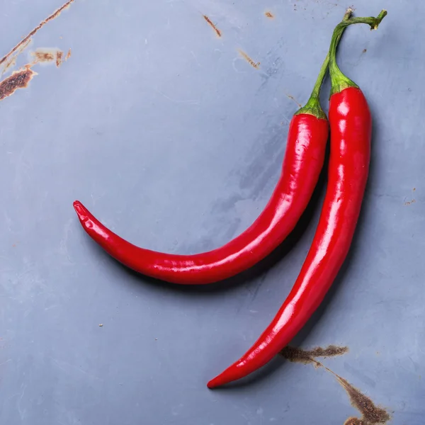 Röd chilipeppar — Stockfoto