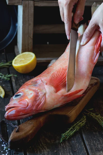 Raw grouper — Stock Photo, Image