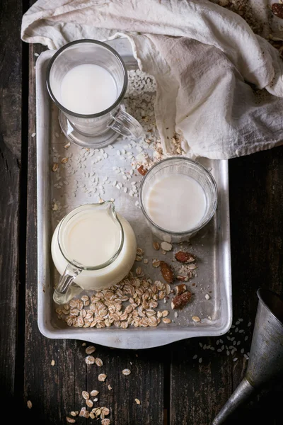 非乳製品のミルクのセット — ストック写真