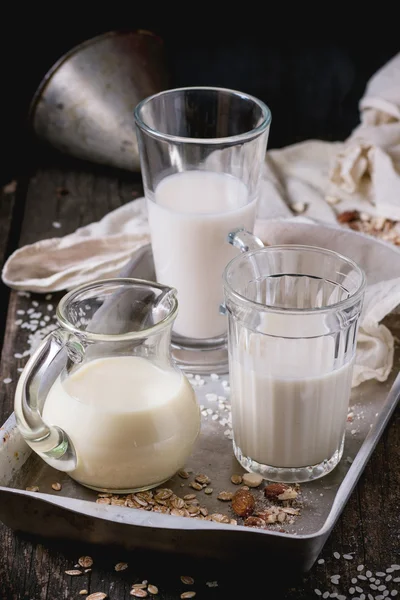 Sada-mléčné výrobky mléko — Stock fotografie
