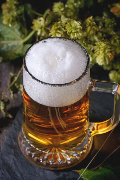 Mug of lager beer — Stock Photo, Image