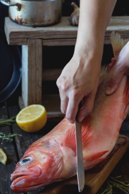 Raw grouper