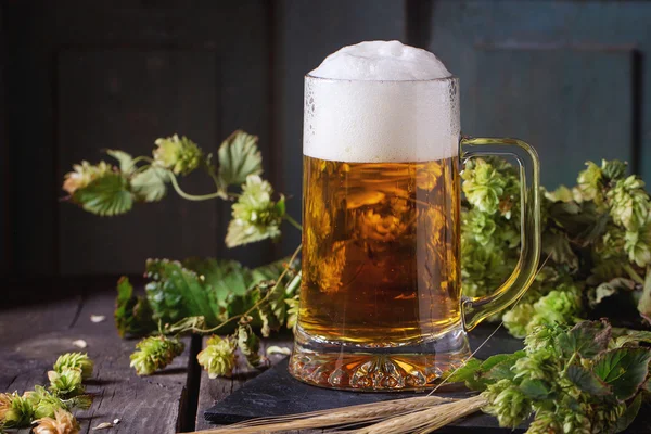 Caneca de cerveja lager — Fotografia de Stock