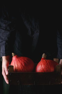 Hokkaido kabaklar kadının elinde