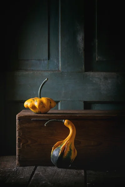 Deux citrouilles décoratives — Photo