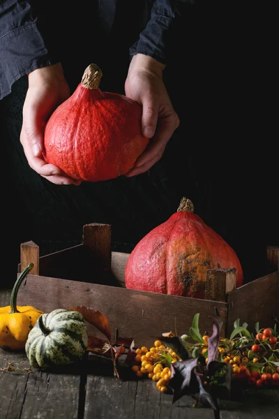 Farklı kabaklar ve çilek