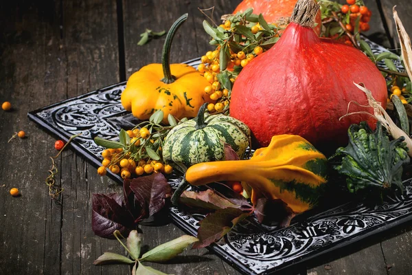 Assortment of different pumpkins and berries — Stock Photo, Image