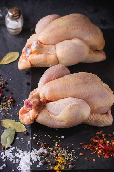 Two Raw Chicken — Stock Photo, Image