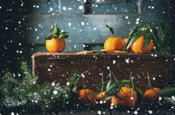 Mandarinky (klementinky) v vánoční výzdoba — Stock fotografie