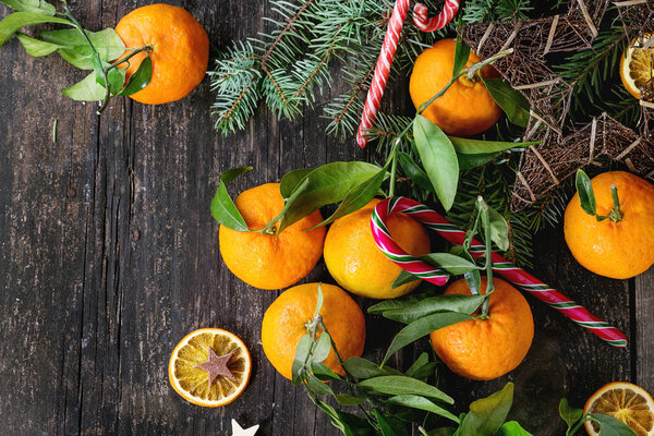 Tangerines (clementines) in Christmas decor