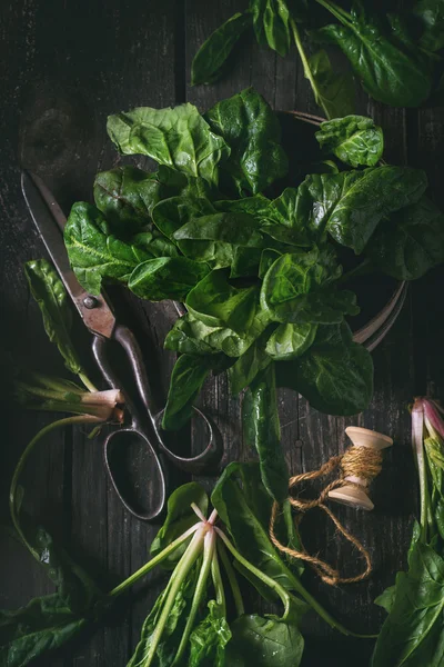 Bunch of fresh spinach — Stock Photo, Image