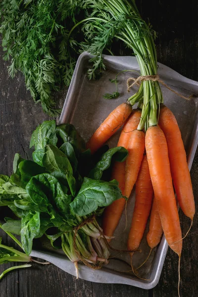 Bunch of carrot and spinach — Stock Photo, Image