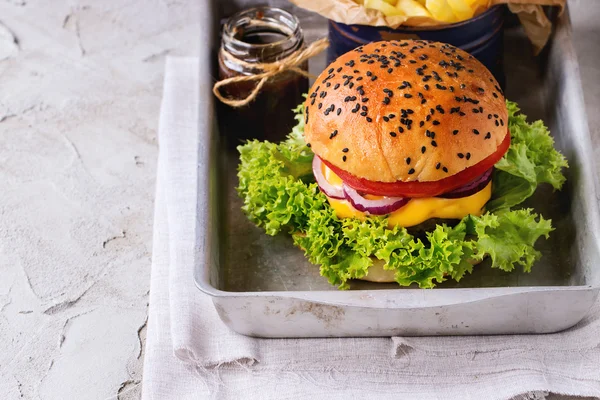 自家製ハンバーガーとフライド ポテト — ストック写真