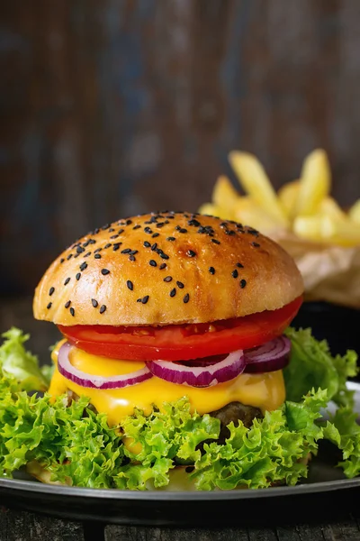 Domácí hamburger s hranolky — Stock fotografie