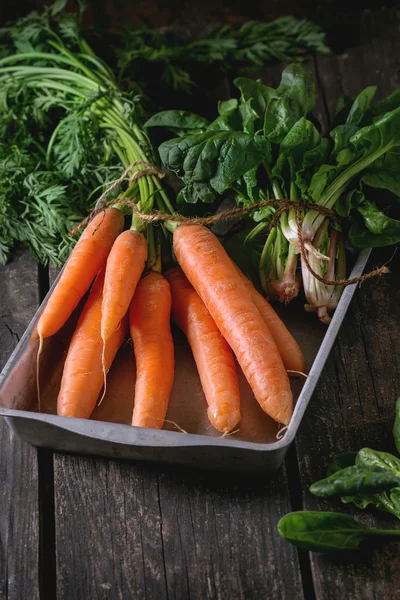 Bunch of carrot and spinach — Stock Photo, Image