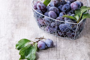 Erik yaprakları ile