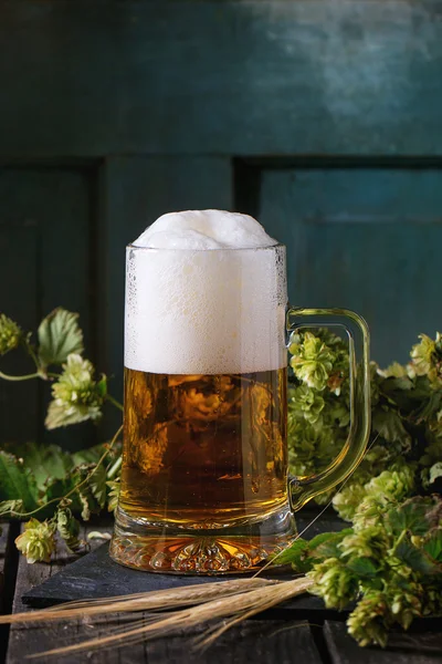 ラガー ビールのジョッキ — ストック写真