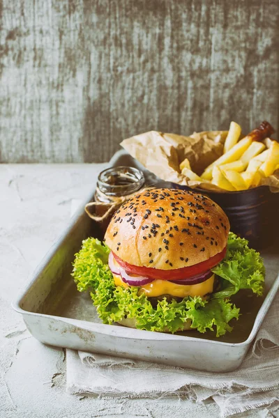 Hamburguesa casera con papas fritas —  Fotos de Stock