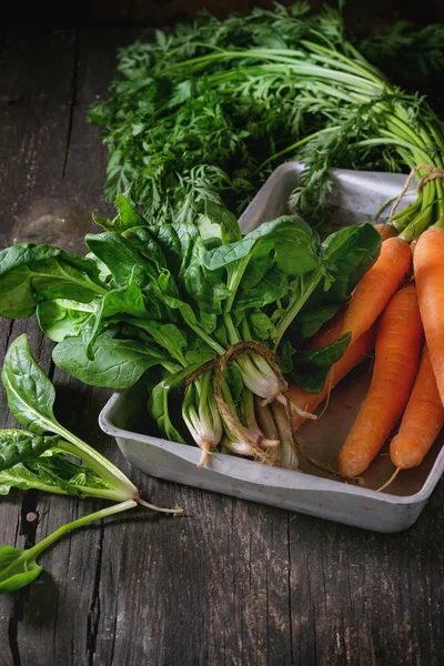 Bunch of carrot and spinach — Stock Photo, Image