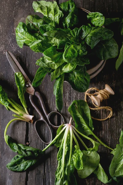 Bunch of fresh spinach — Stock Photo, Image