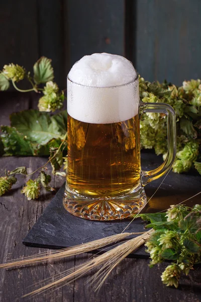 Caneca de cerveja lager — Fotografia de Stock