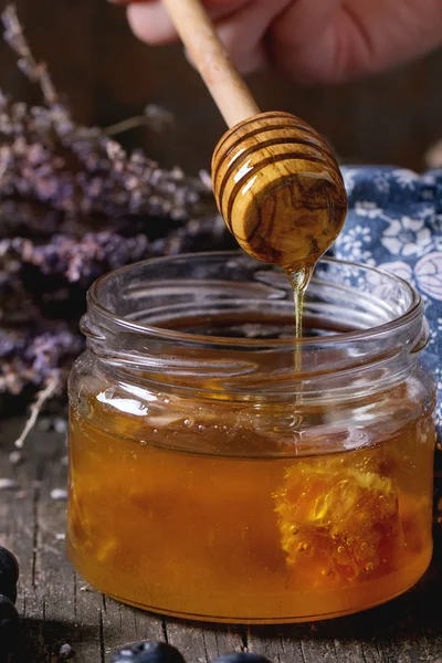 Med, borůvky a levandule — Stock fotografie