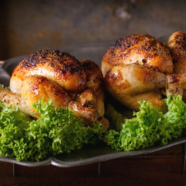 Grilled mini chicken — Stock fotografie