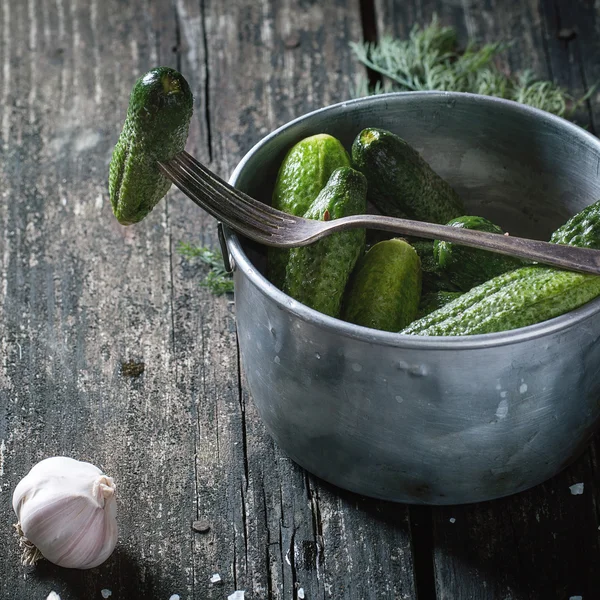 Preparation of low-salt pickled cucumbers — Stock Photo, Image