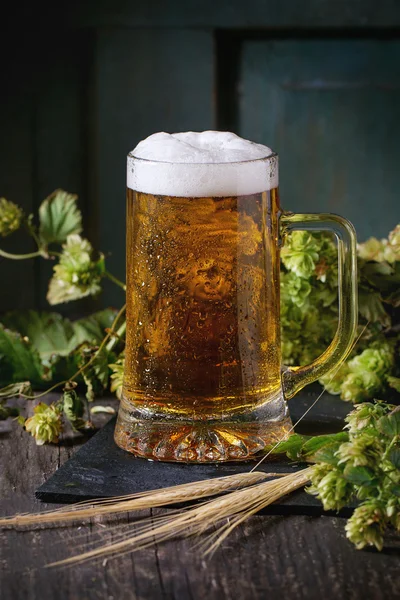 Mug of lager beer — Stock Photo, Image