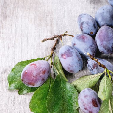 Erik yaprakları ile