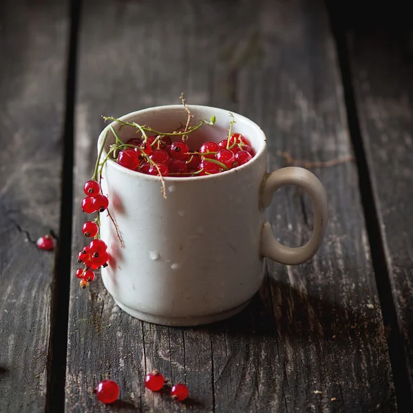 Fresh Red currant — Stock Photo, Image