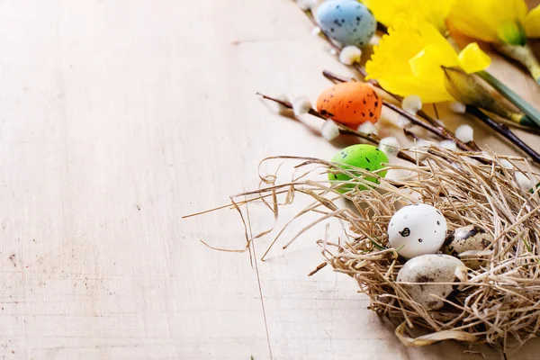 Easter decoration with quail eggs — Stock Photo, Image