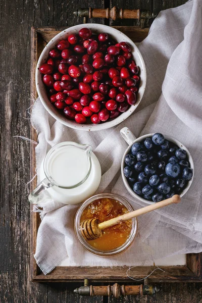 Honey, milk and berries — ストック写真