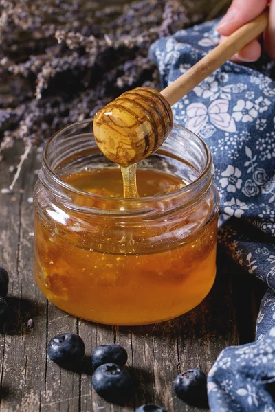 Honey, blueberries and lavender — Stock Photo, Image