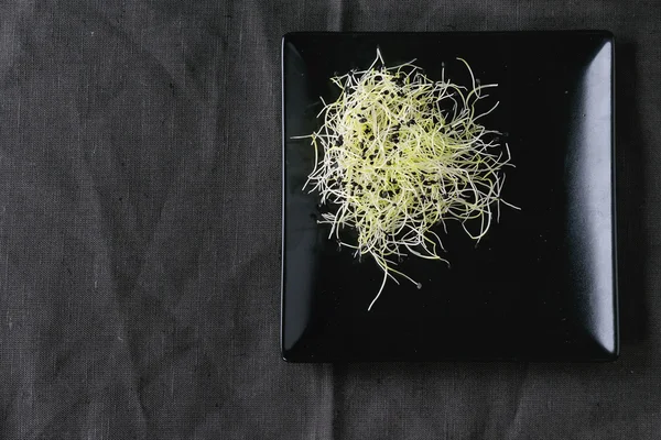 신선한 마늘 콩나물 — 스톡 사진