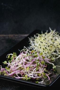 Tabak taze lahanası