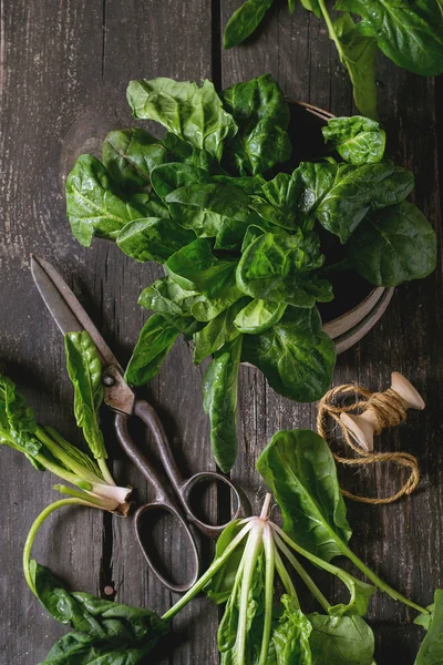 Bunch of fresh spinach — Stock Photo, Image